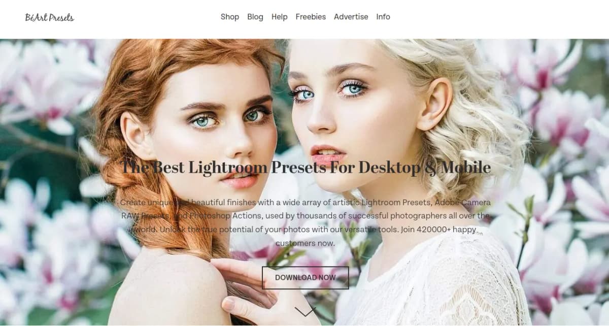 BeArt Presets