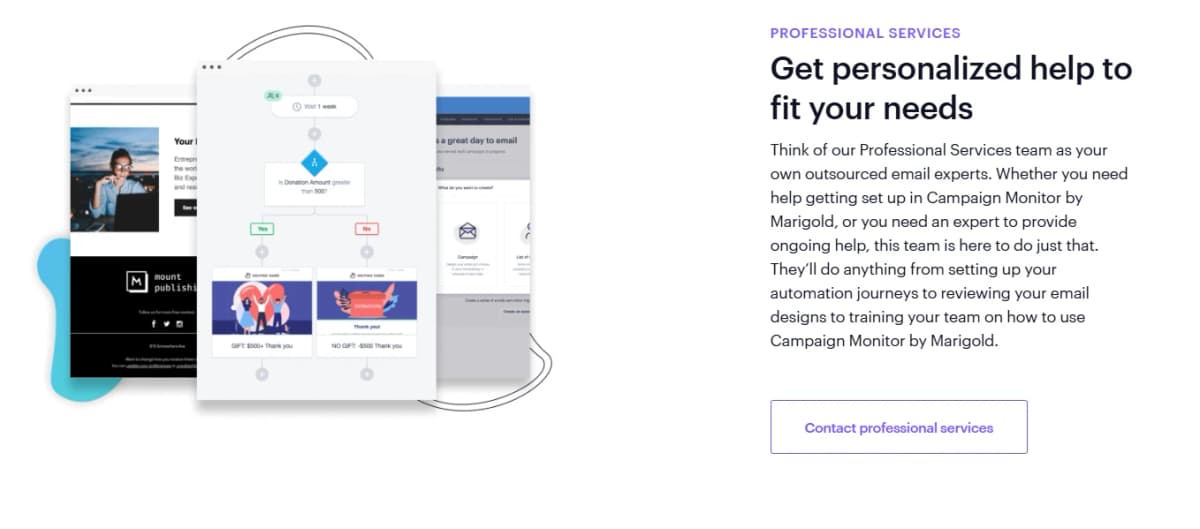 Campaign Monitor Professional Services