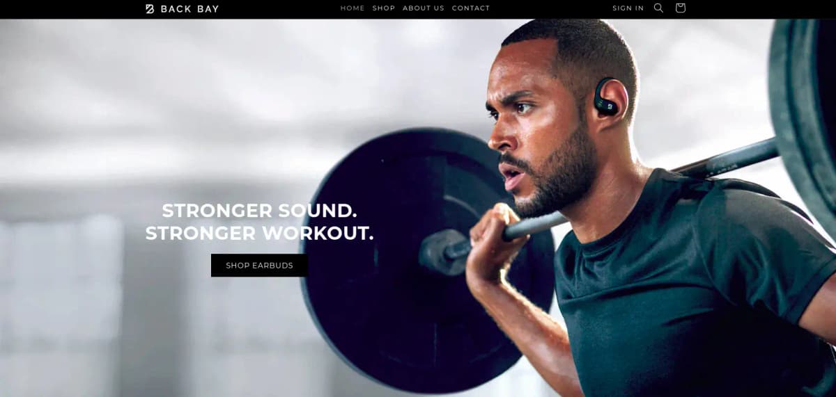 Back Bay Brand earbuds