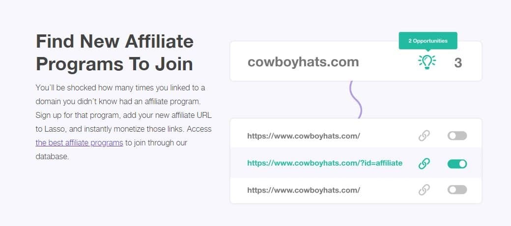Lasso Affiliate Opportunities
