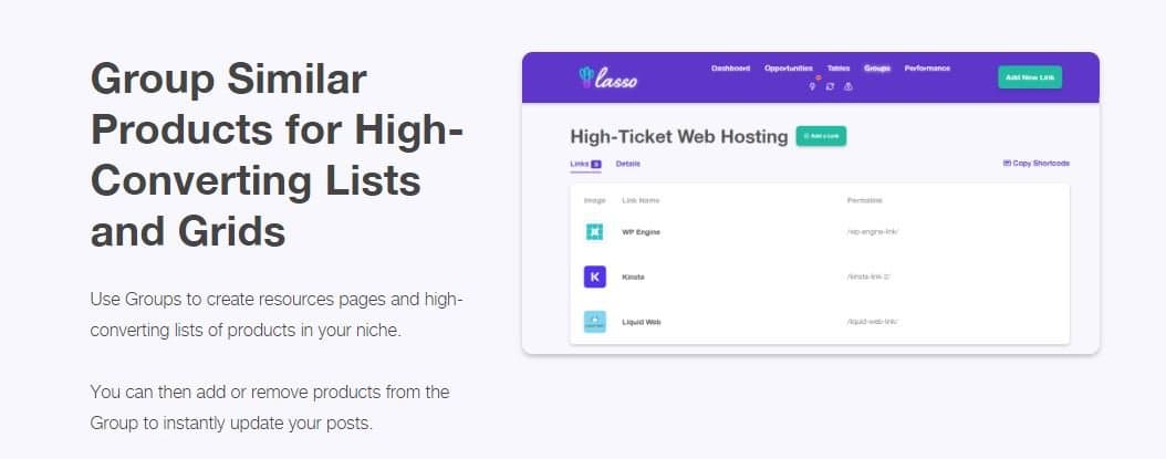 Lasso Affiliate Link Manager
