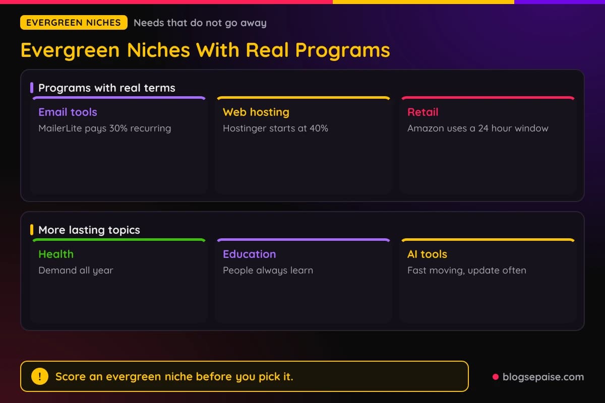 Evergreen affiliate niches with program examples: email tools with MailerLite and Systeme.io, web hosting with Hostinger, retail with Amazon Associates, plus health, education, and AI