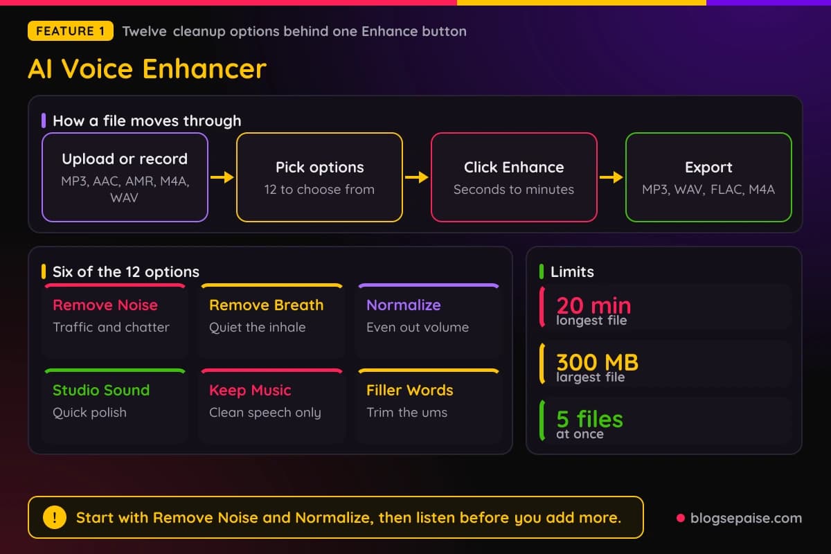 FineVoice AI Voice Enhancer cleaning noise, silences, and filler words from a voice recording