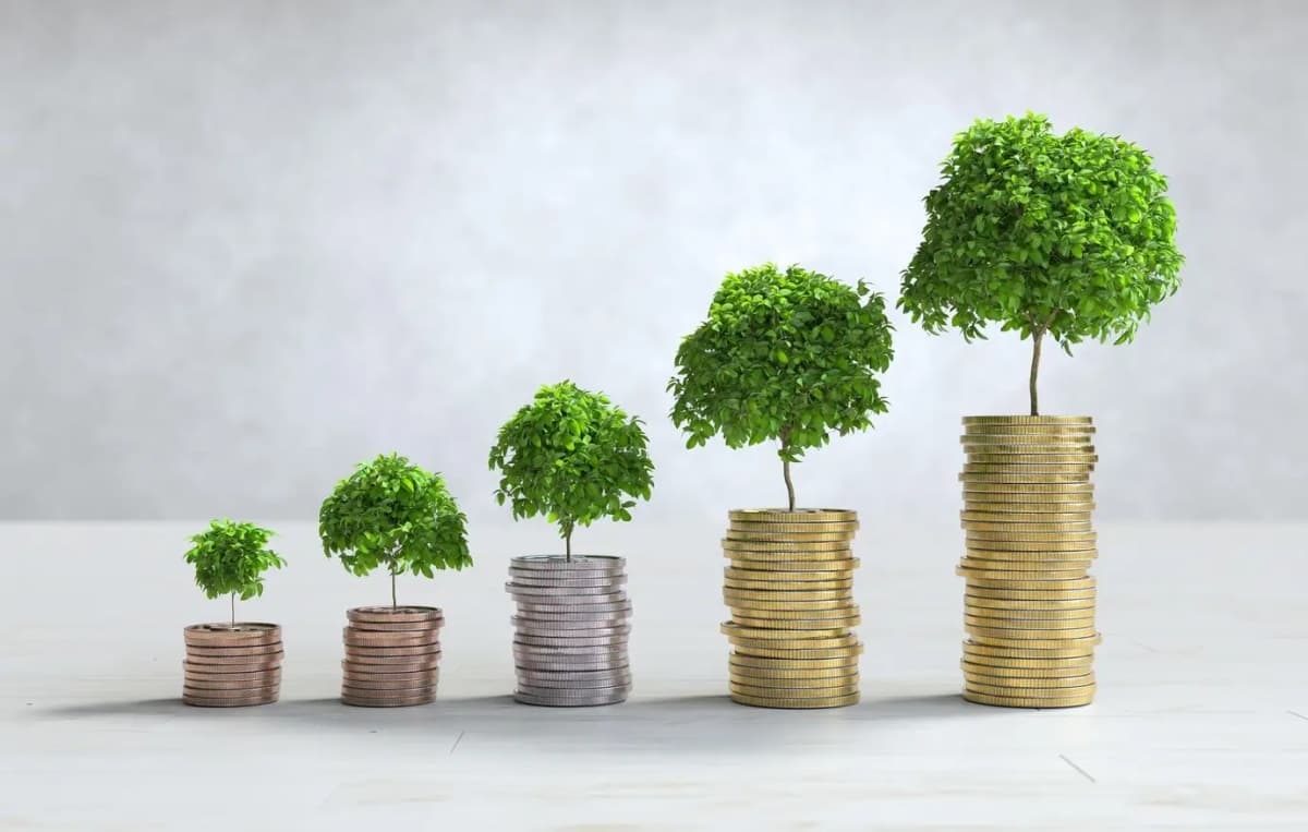 Financial investment planning for affiliate blogging success