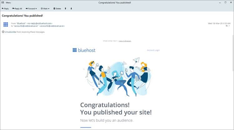 bluehost-email