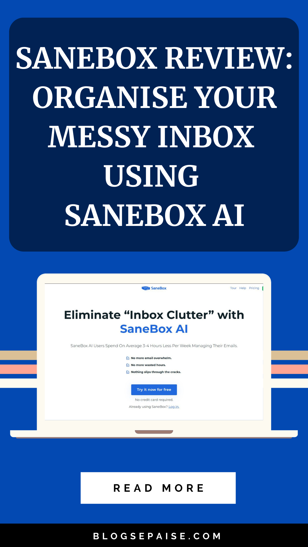 SaneBox review pin